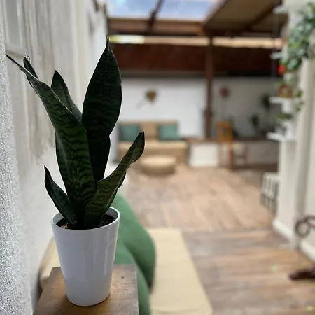 旅馆 Trip'n'hostel Chill Zone 地拉那