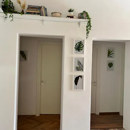 Хостел Trip'n'hostel Chill Zone