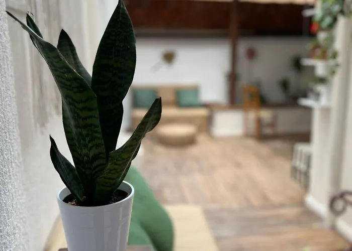 بيت شباب Trip'n'hostel Chill Zone تيرانا