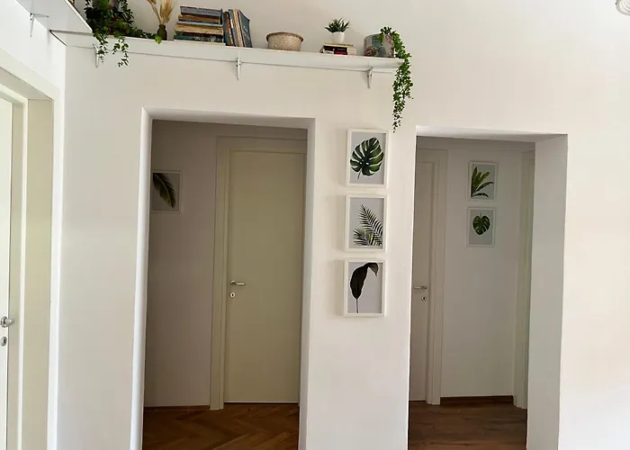 بيت شباب Trip'n'hostel Chill Zone